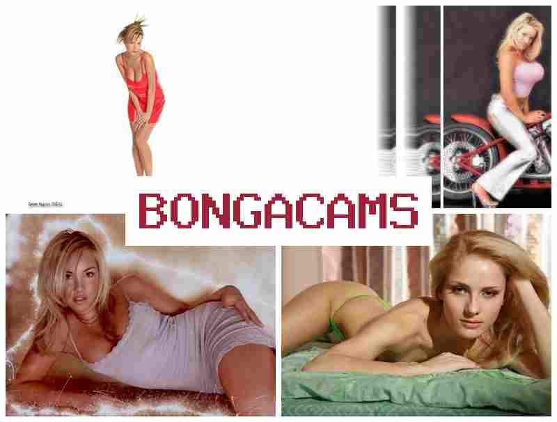 BINGA CAMS ♥ Sugar Porn Webcam