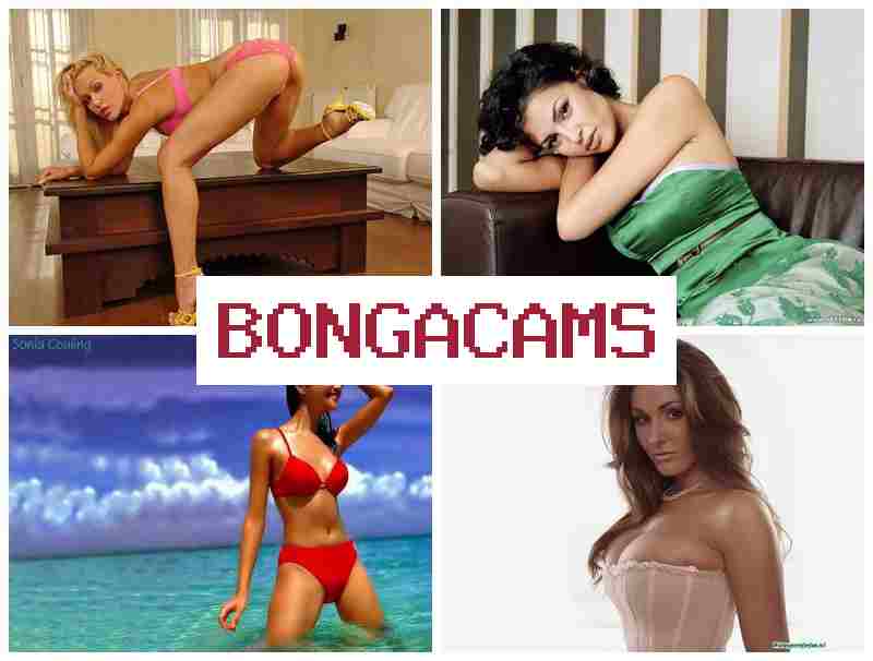 B0NGA CAMS 💙 Webcam M