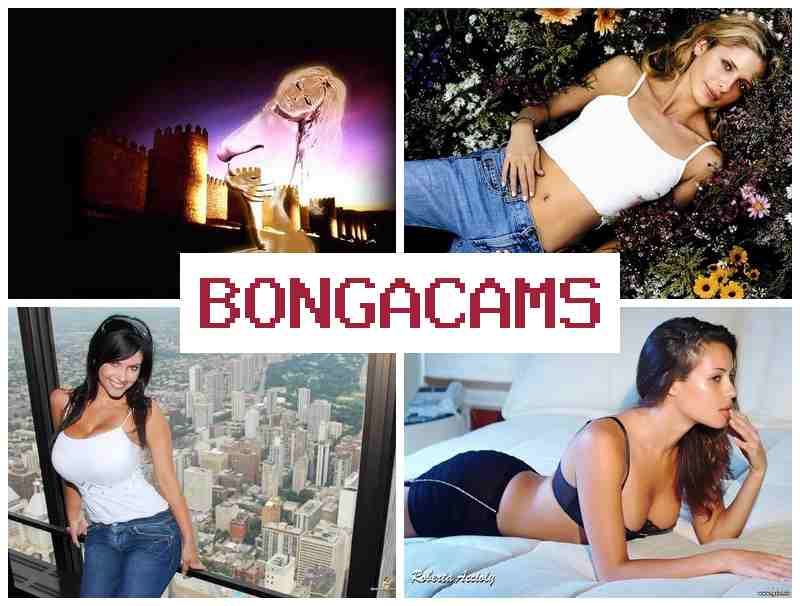 BKNGA CAMS 💯 Pussy Girls Webcam Sex
