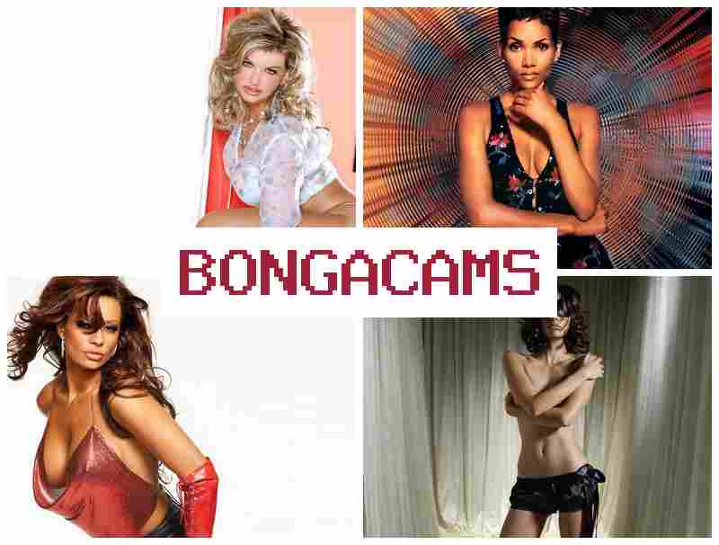 BOBGA CAMS 🌟 Forbidden Fruity Video Webcam