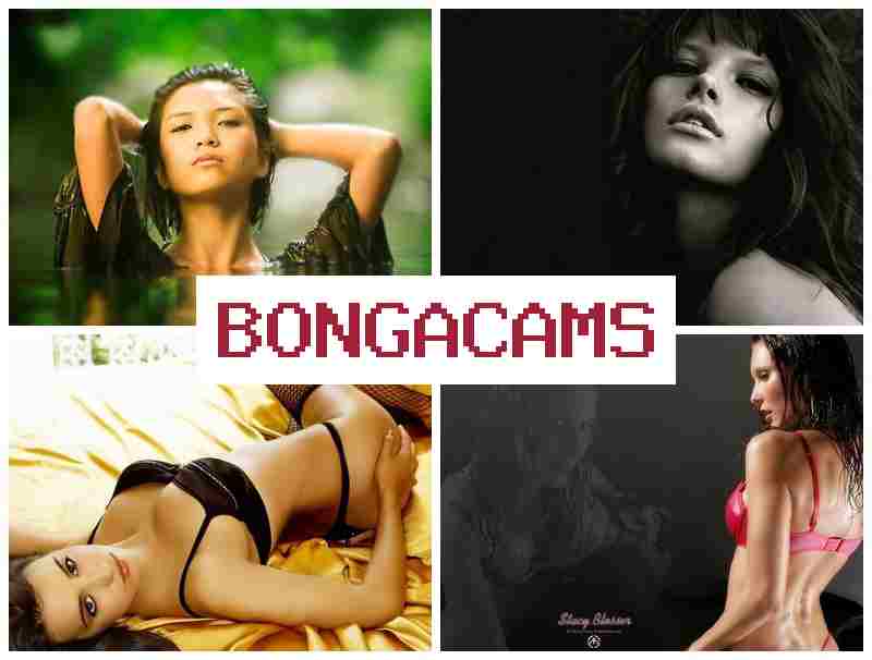 BONFA CAMS 💑 Webcam Girls Foto