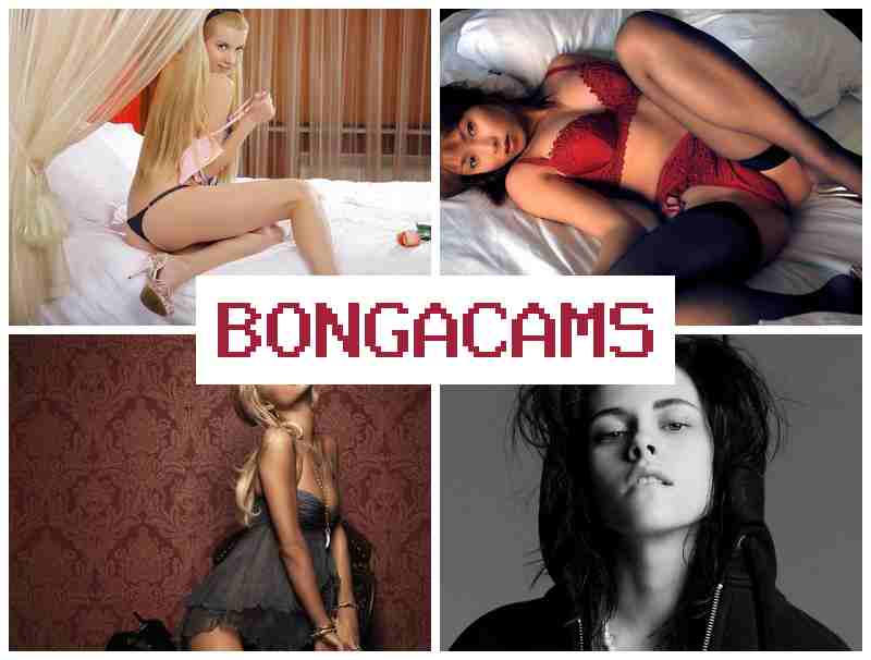BONGA CQMS 🆗 Squirting Webcam XXX