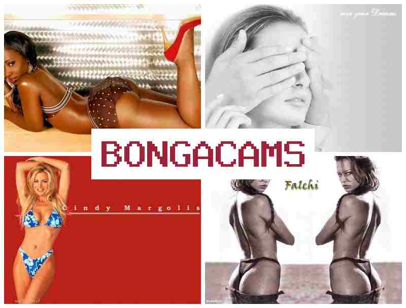 BONGA CWMS 🔺 Webcam Solo Oiled