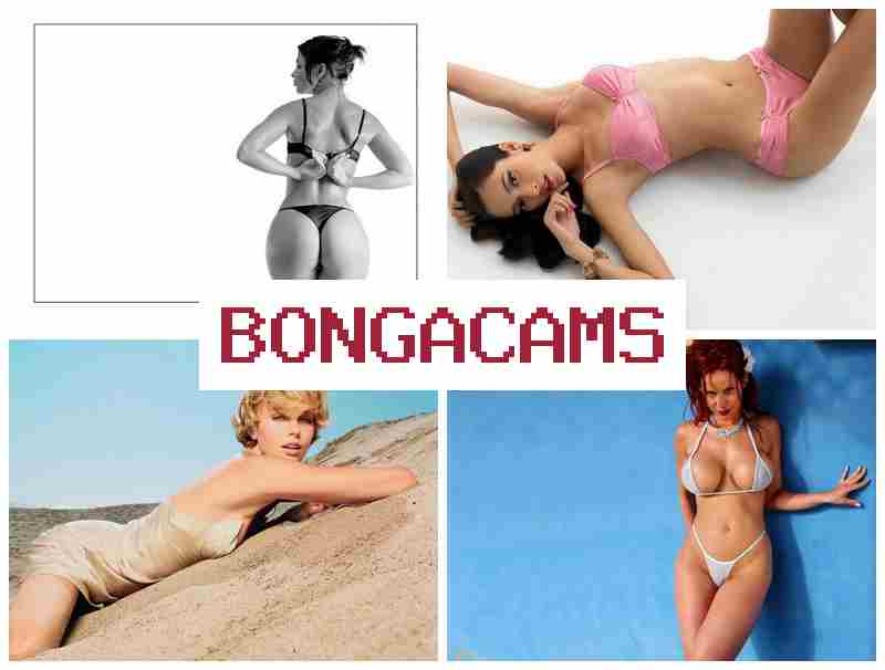 BONGA CSMS ✔️ Solo Chat Video
