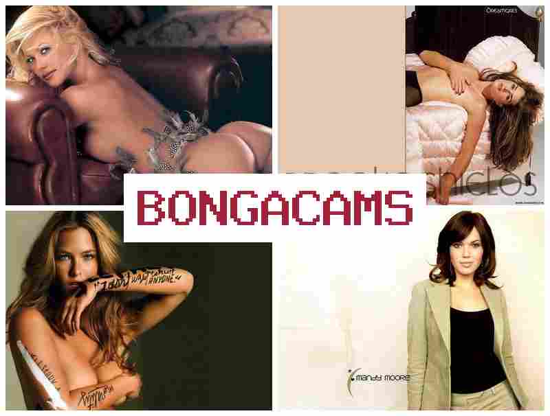 BONGA CZMS 🔺 Young Chat Webcam