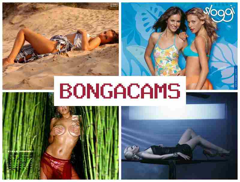 BONGA CAMA 🔵 TS Webcam Solo