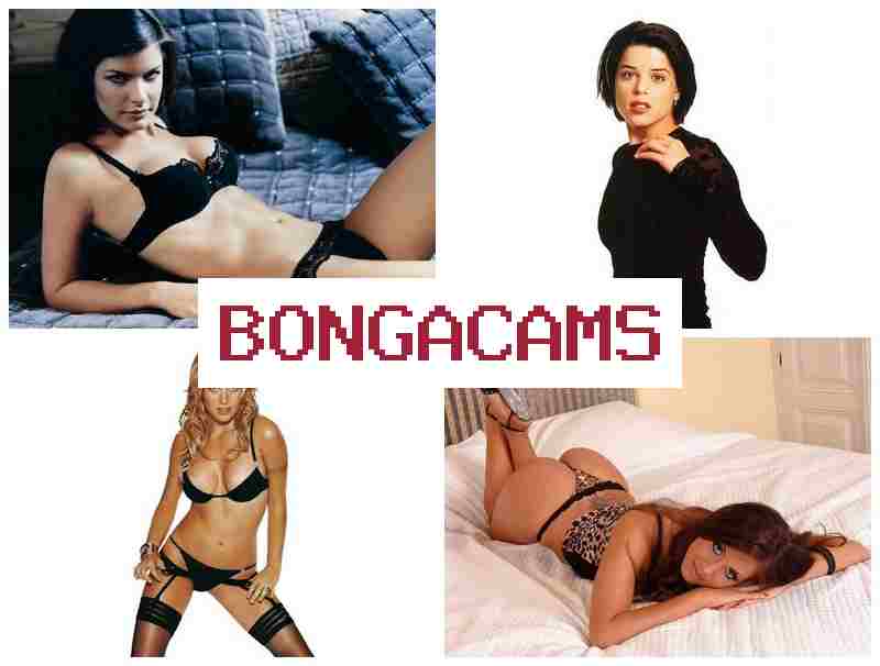 BONGA CAME 🔔 Free Porn Webcam Chats