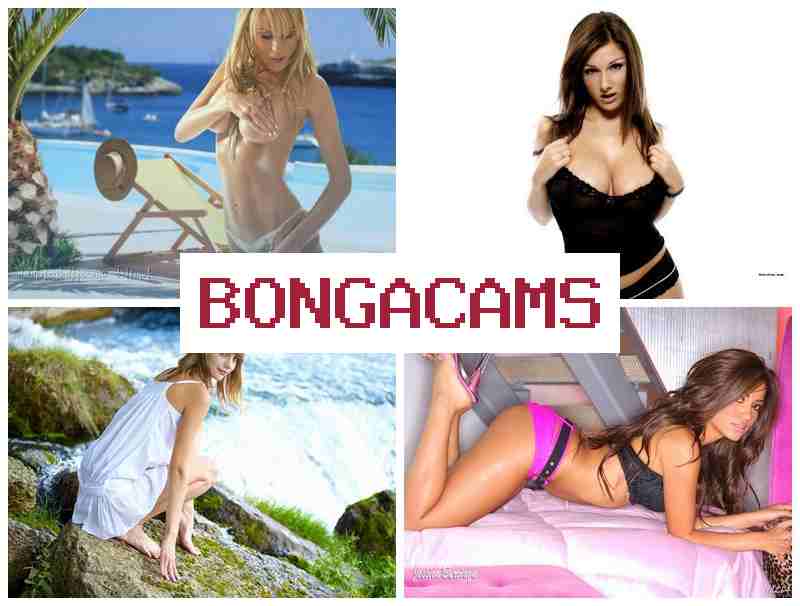 BONGACCAMS 💘 Chinese Webcam Sex