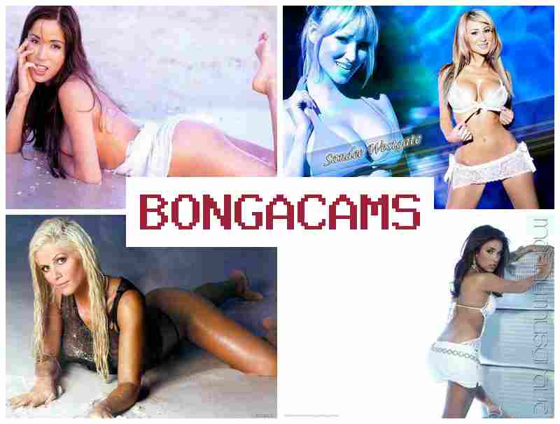 OBNGACAMS ⭕ Webcams Vibes