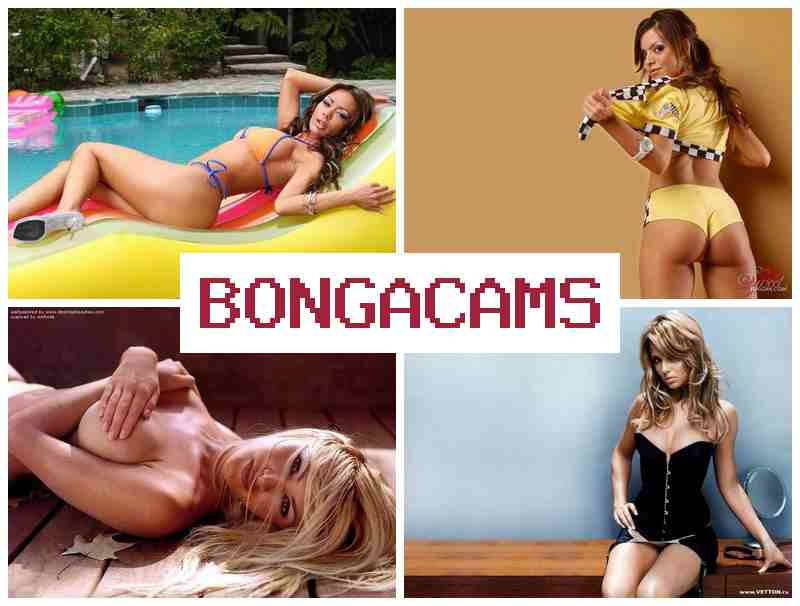 BONGACASM ✔️ Anal Masturbate, Webcam Porn