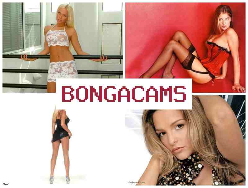 GONGACAMS 🔻 Webcam Ass Video
