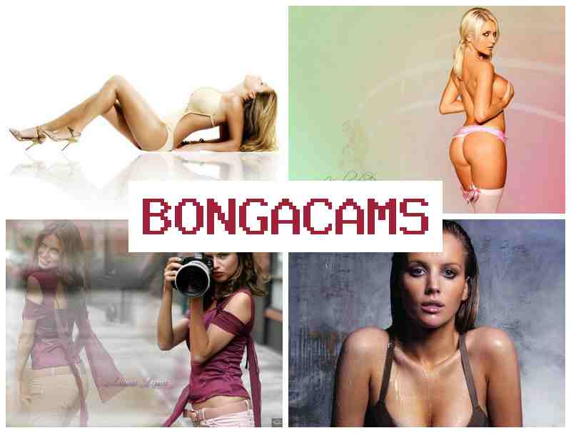 BOBGACAMS ⭕ Webcam, Teen Models Porn