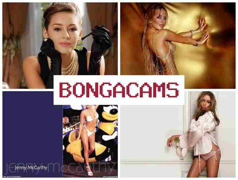 BOHGACAMS 💑 T-Webcam Girls