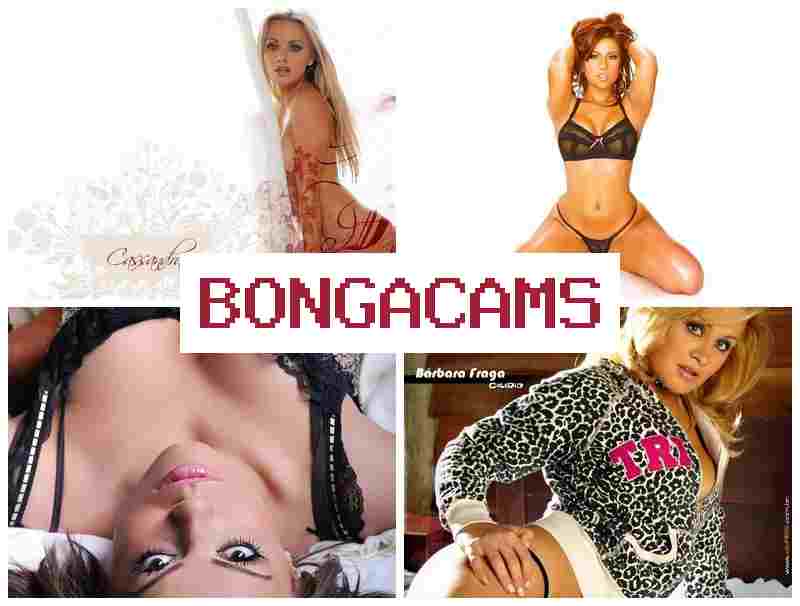 BOJGACAMS ☑️ Webcam Young Porn ORG