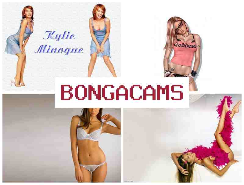 BOMGACAMS 💟 Your Live Webcam