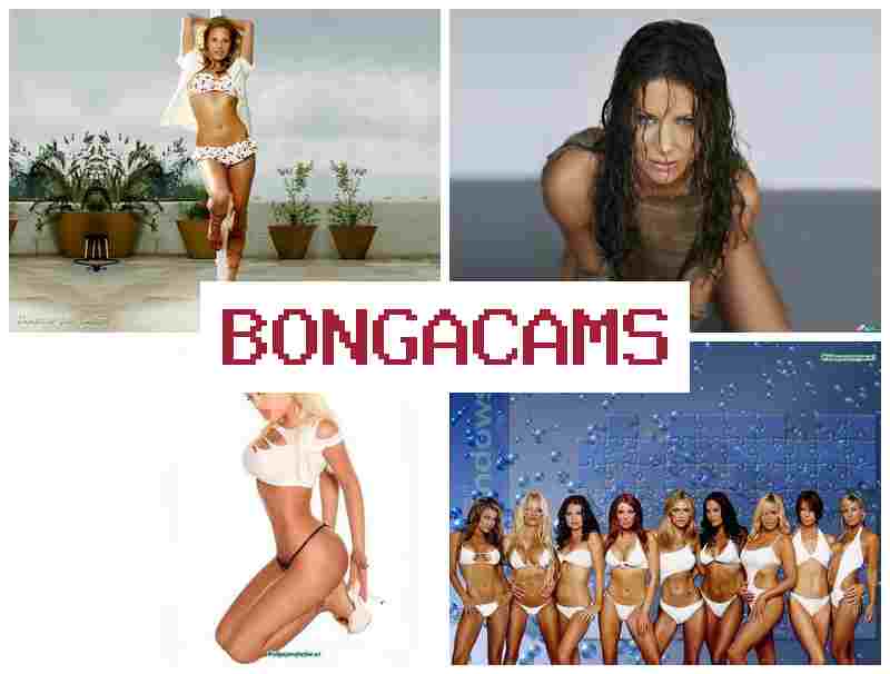 BONVACAMS 🔔 Webcam Big