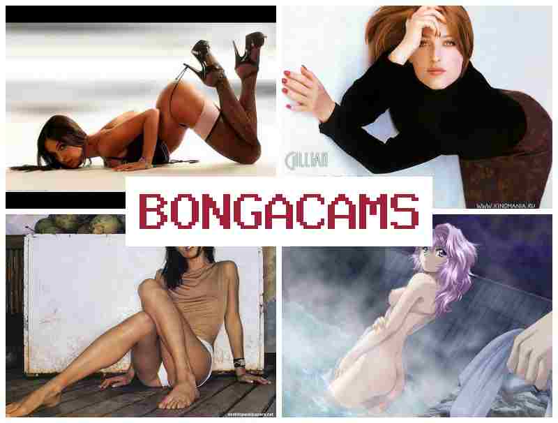 BONGWCAMS ▓ Webcam Girl Search
