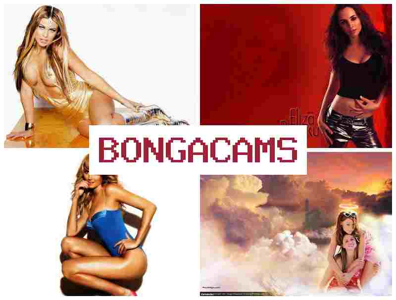 BONGAAMS 🎇 Webcams OK