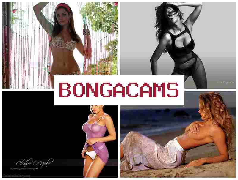 BONGAFAMS 🔔 Webcam Pegging Full Porn