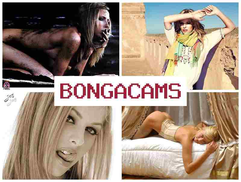BONGACZMS 🆕 Webcam Sex Chat Videos
