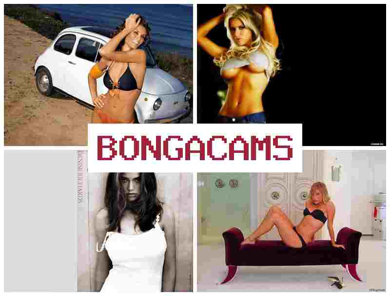 BONGACANS 💜 Webcam Solo Blowjob