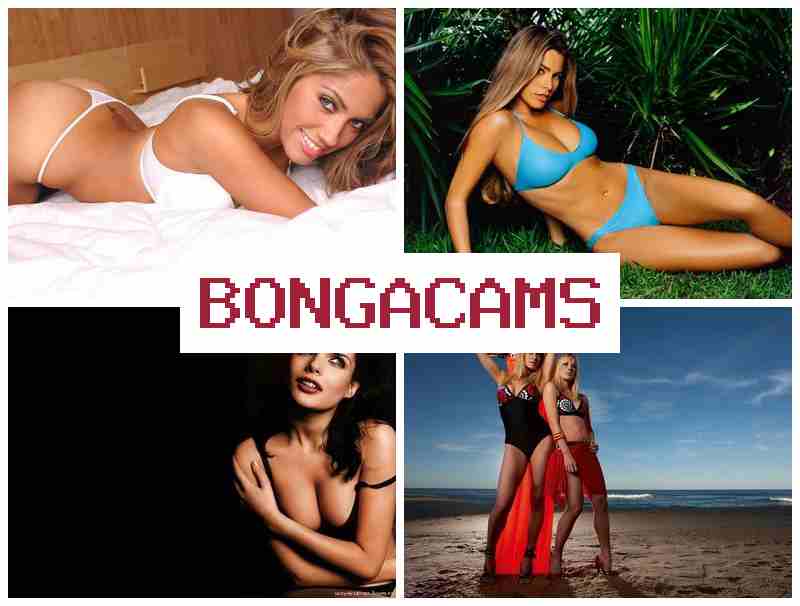 BONGACMS 💕 Dirty Anal Dildo, Webcam