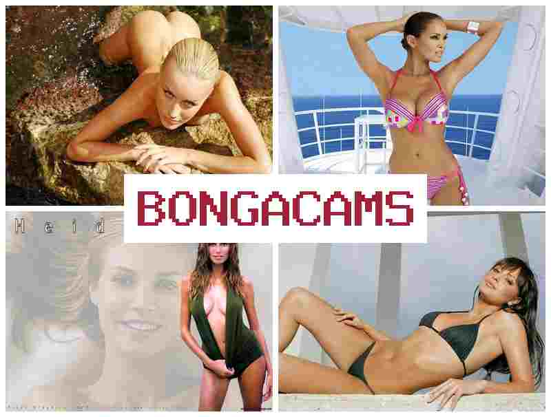 BONGACA,S ▓ Webcam Fit Video