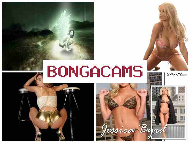 ONGA CAMS 🔻 Webcam Video Files