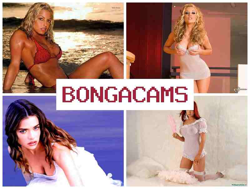 BONGACAS ▒ Big Labia Webcam