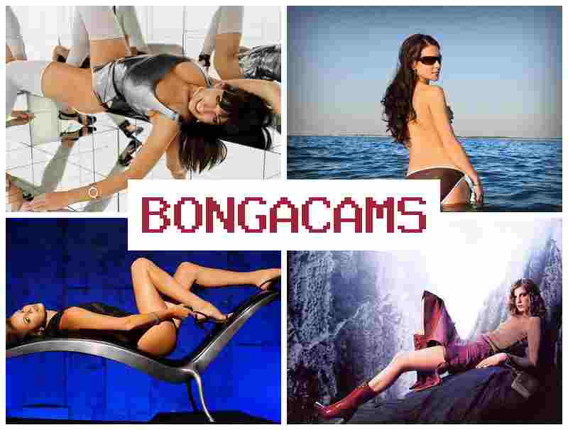 BOGA CAMS 💗 Naughty Webcam