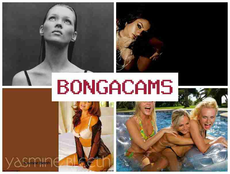 BONGA CMS 💘 Kitty Girls Webcam