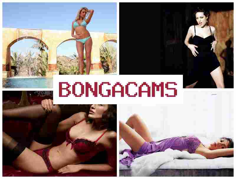 BBONGA CAMS 👍 Webcam Stream XXX