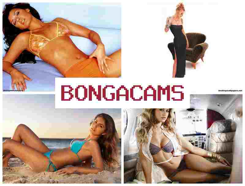 OBNGA CAMS 🔴 Webcam Girls Porn