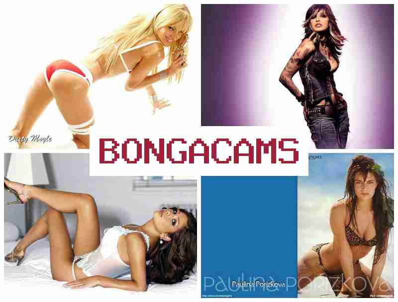 BBONGACAMS 💝 Best Pussy, Webcam