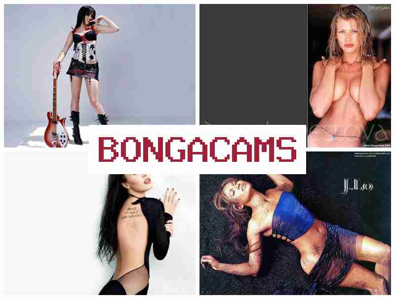 BONGA ACMS 💋 All My Cam Beautiful Brunettes Webcam Porn