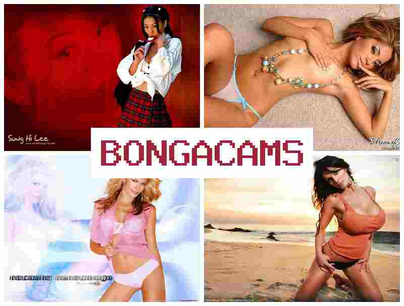BONGA CMAS 💑 Best Webcam 18+