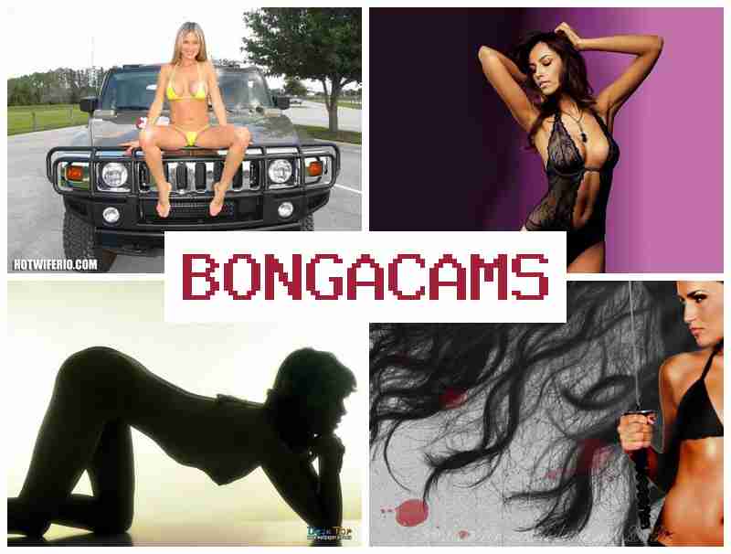 VONGA CAMS ⭕ Webcam, Teen Tits Porn